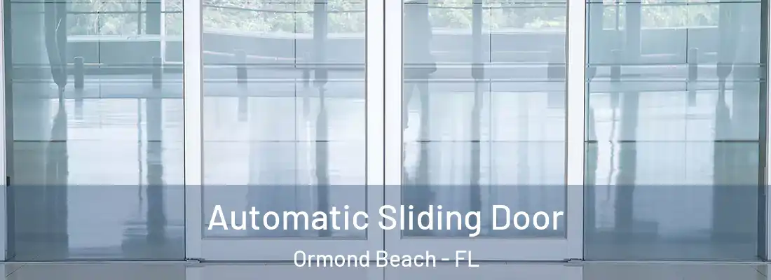  Automatic Sliding Door Ormond Beach - FL