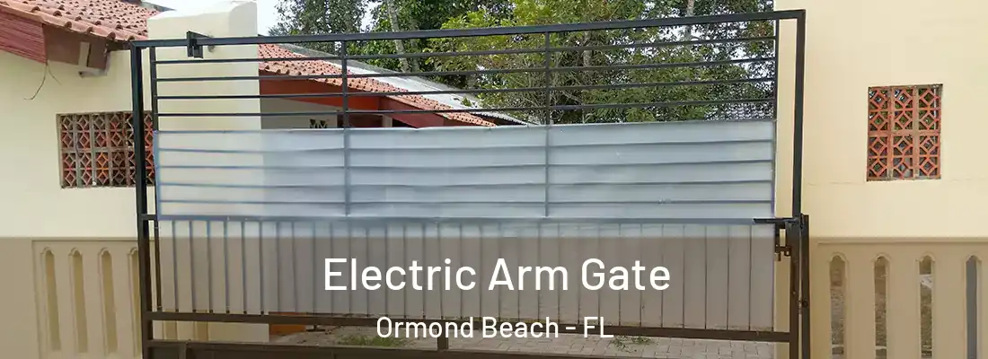  Electric Arm Gate Ormond Beach - FL